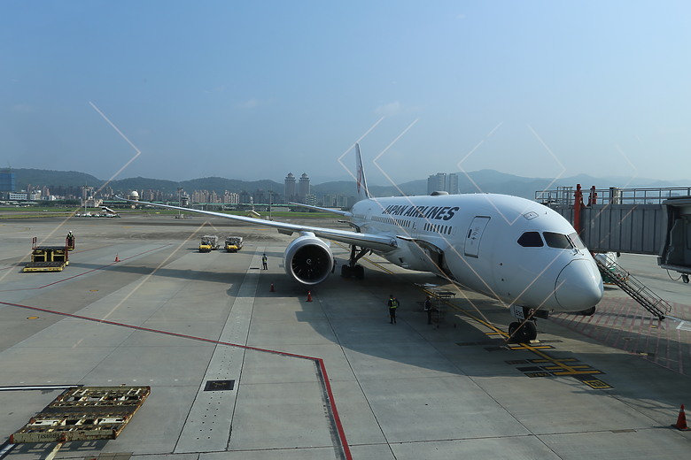 日規3代Alphard親子自駕之東北櫻花之旅