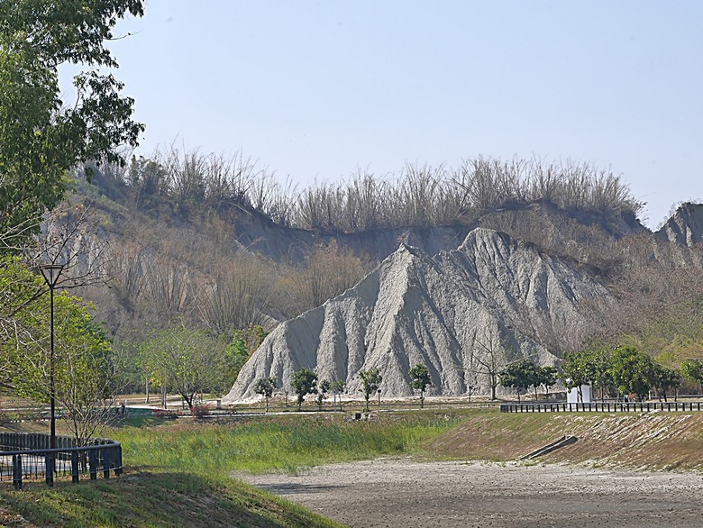 六龜神威天臺山花旗木花海、田寮月世界、美濃警察分駐所、美濃舊橋與溪畔花旗木，還有林家粄條總店美食 — 2024清明連假高雄郊區賞花旗木行旅