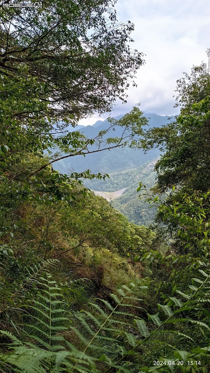宜蘭古魯林道之大元國小。原始山徑二訪。