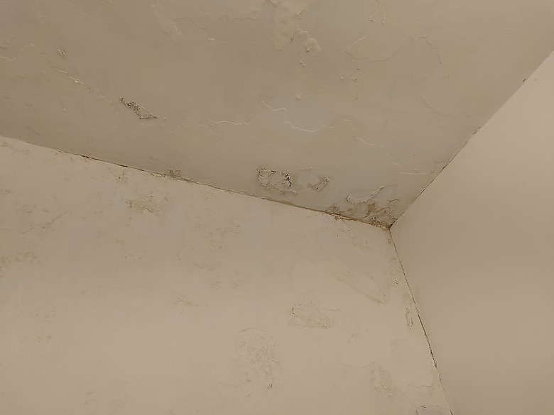 漏水狀況請教大家
