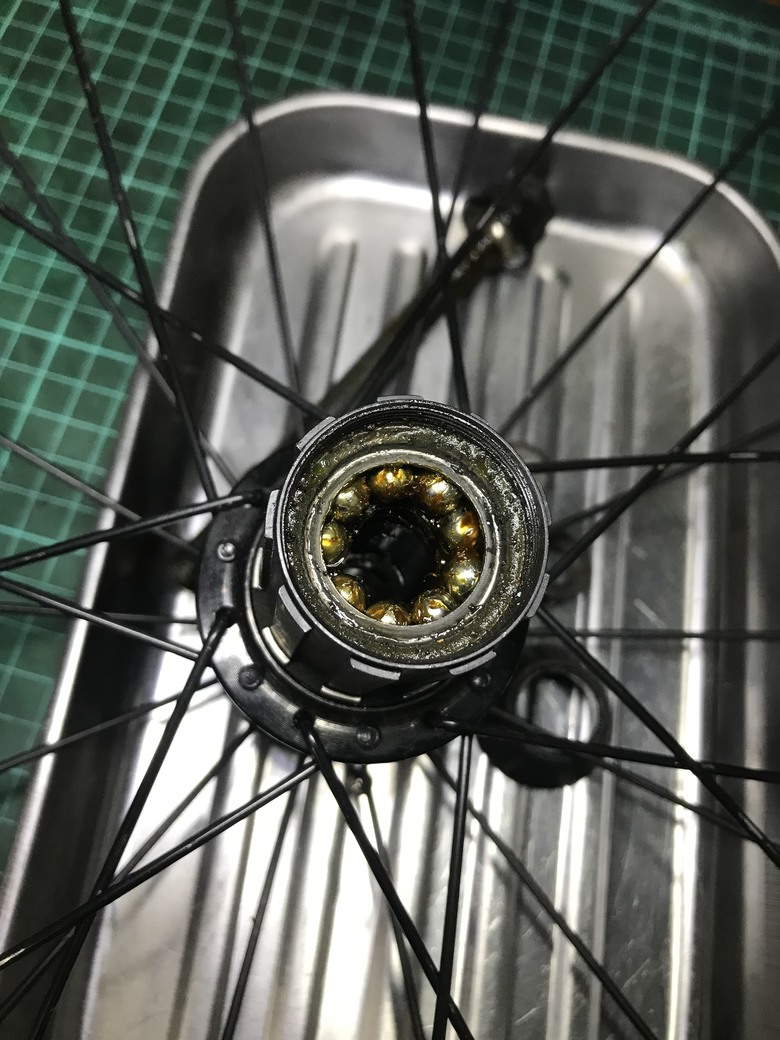 點我看大圖 Dahon 穢土轉身 車子都是該適當的保養與整理