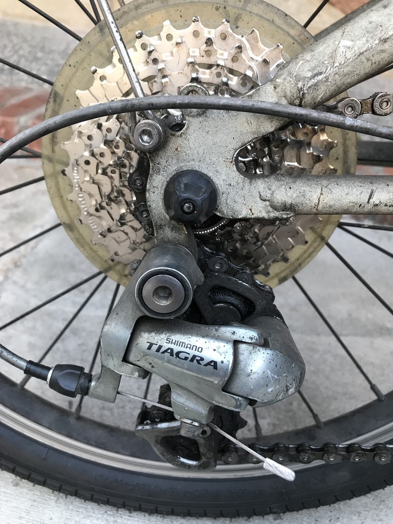 點我看大圖 Dahon 穢土轉身 車子都是該適當的保養與整理