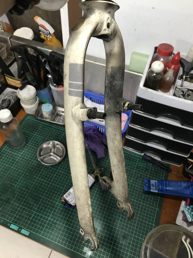 點我看大圖 Dahon 穢土轉身 車子都是該適當的保養與整理