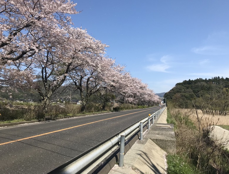 日本走馬看花/JR West pass/1人自由行10天9夜（Day5)