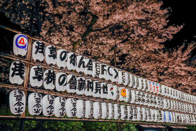 2024 東京四天三夜賞櫻快閃之旅