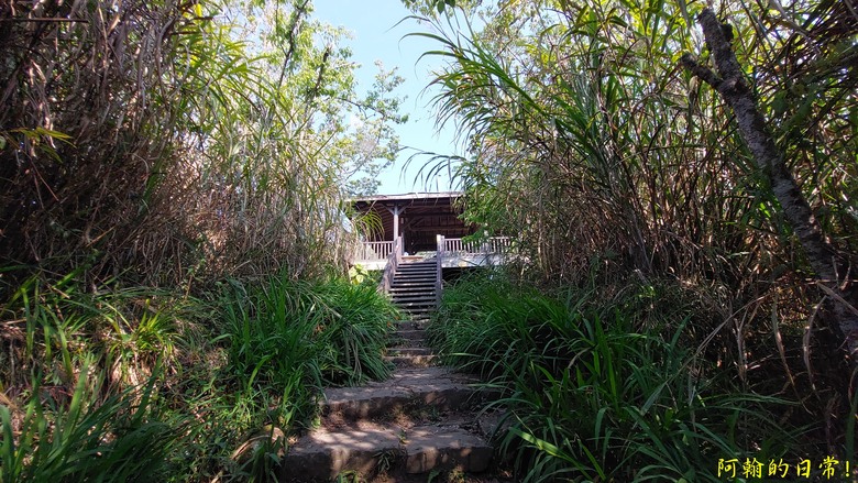 奮起湖的小百岳國家森林步道 大凍山