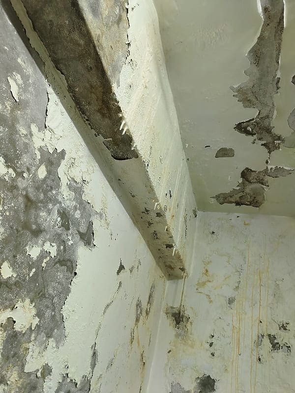 漏水狀況請教大家