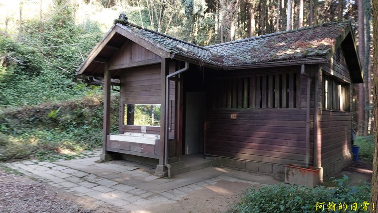 奮起湖的小百岳國家森林步道 大凍山