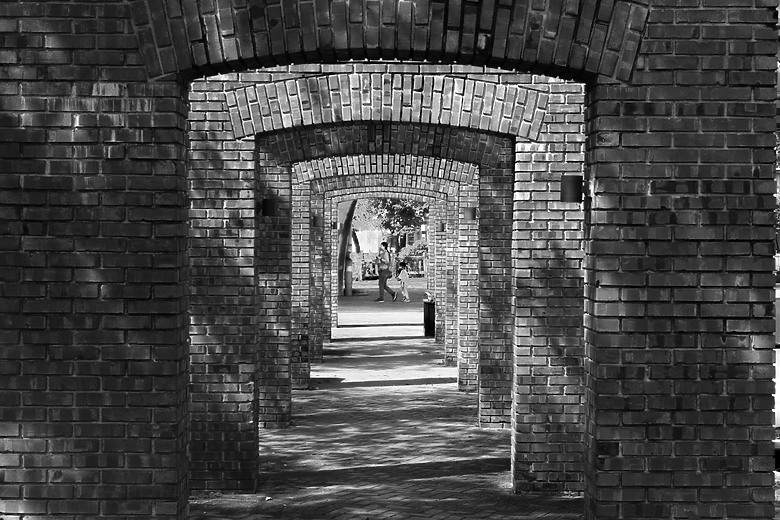 久違的台灣 《Fujifilm X-T5, 23&56 2代》