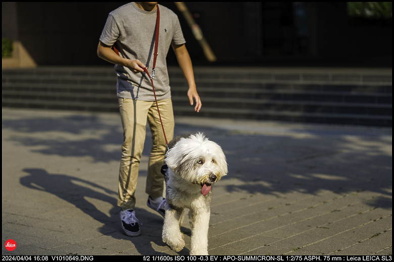 【開箱】Leica SL3 10607，新增 【SL3 韌體更新 V1.1.9 修正檔案意外覆寫錯誤】
