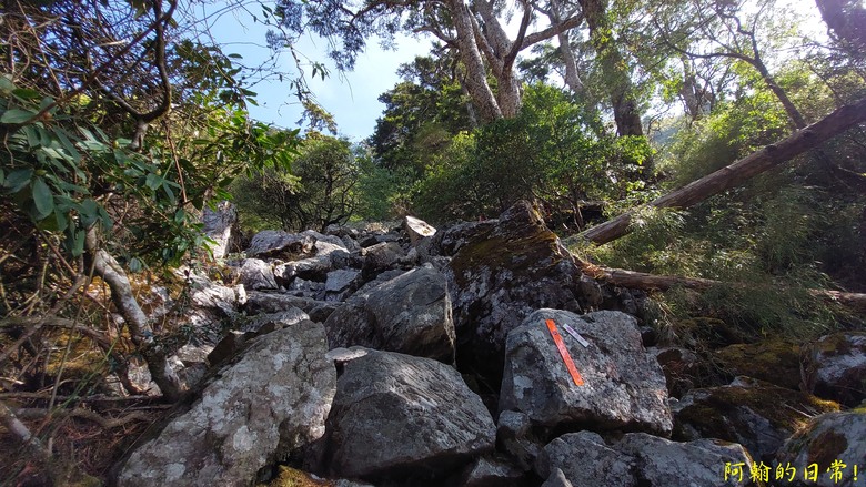 挑戰陡陡刺激石瀑 攻頂 玉山前峰 必經之路