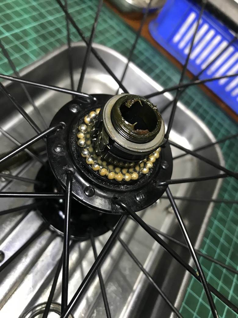 點我看大圖 Dahon 穢土轉身 車子都是該適當的保養與整理