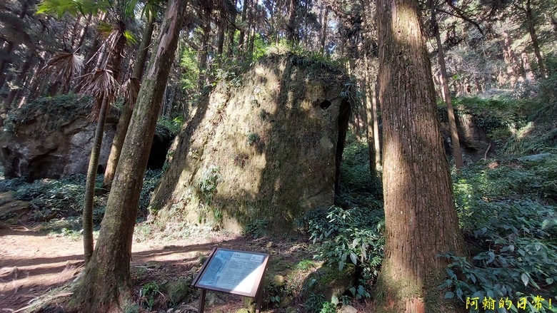 奮起湖的小百岳國家森林步道 大凍山