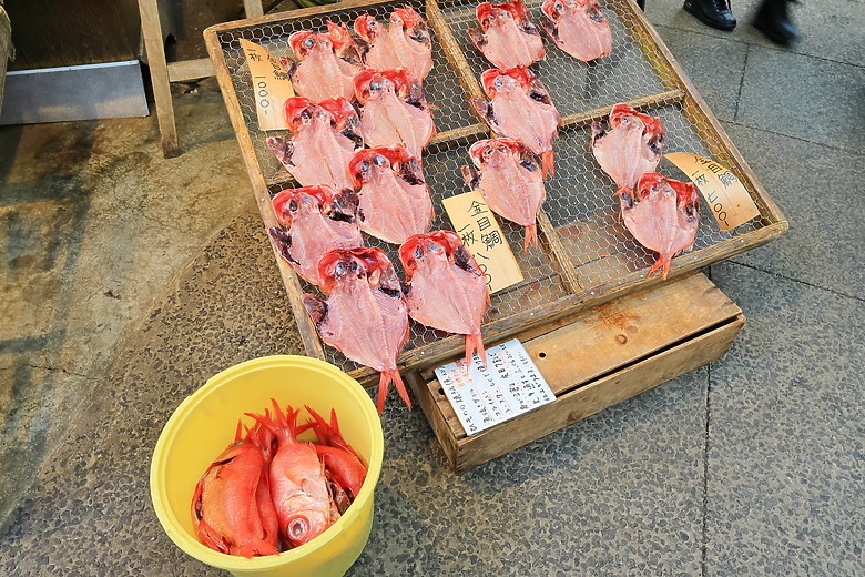 (映像旅行) 到伊豆半島賞河津櫻、看水豚君泡溫泉in日本熱海、伊東、河津 feat. Canon EOS R6 Mark II