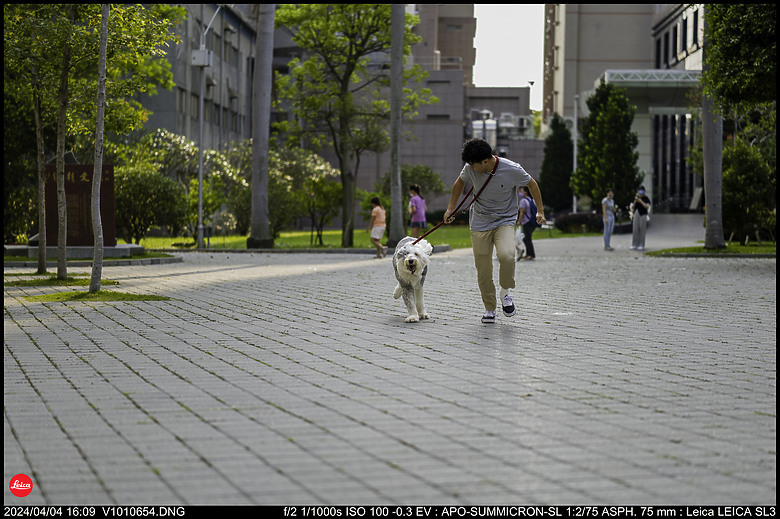 【開箱】Leica SL3 10607，新增 【SL3 韌體更新 V1.1.9 修正檔案意外覆寫錯誤】
