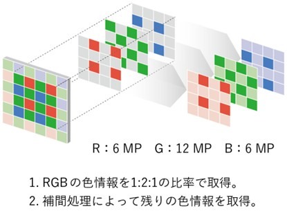 Nikon Zf — 我用快門書寫日記【WICKED RICKY】