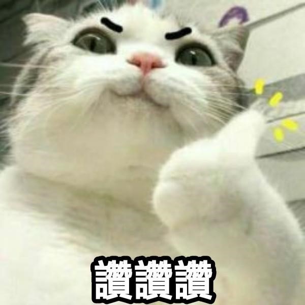 大家都做什麼醫美改善老態阿?