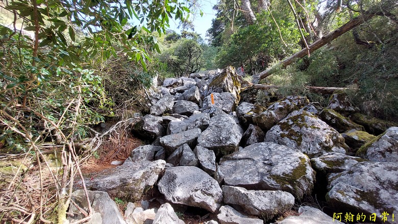 挑戰陡陡刺激石瀑 攻頂 玉山前峰 必經之路