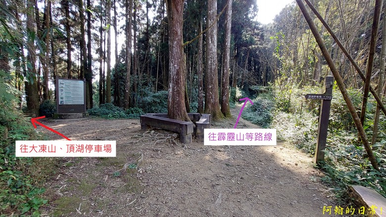 奮起湖的小百岳國家森林步道 大凍山