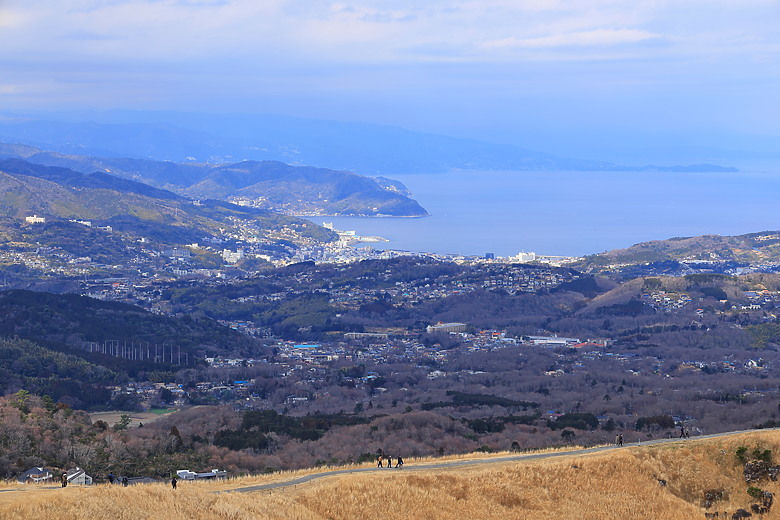 (映像旅行) 到伊豆半島賞河津櫻、看水豚君泡溫泉in日本熱海、伊東、河津 feat. Canon EOS R6 Mark II