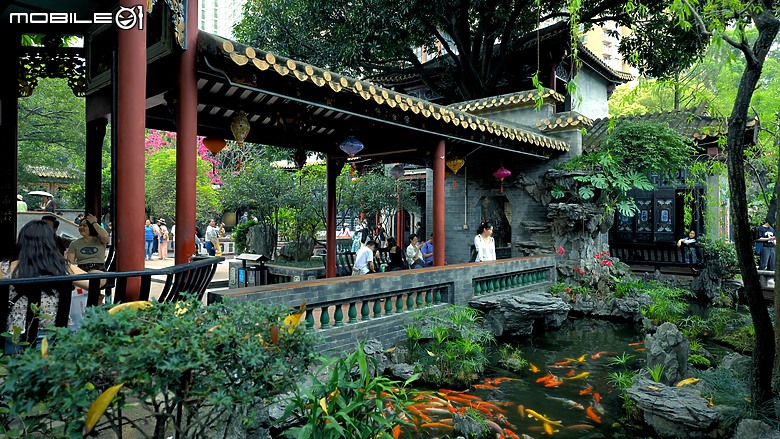 嶺南名園之首-順德大良清暉園