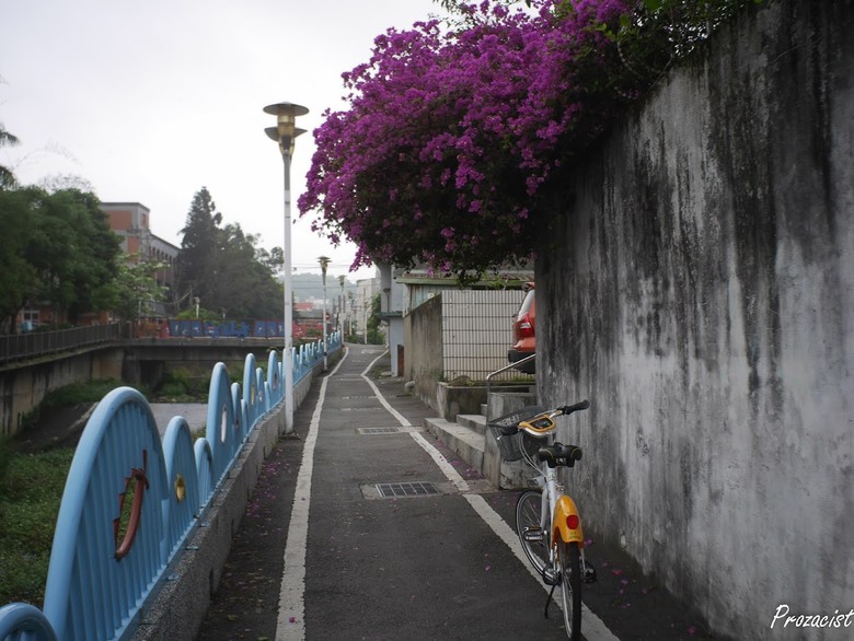 騎電輔Youbike沿石門大圳溯源｜新竹湖口→龍潭三坑｜36km