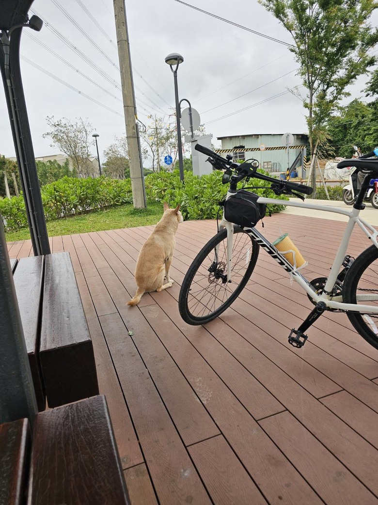 新手想問有載大型犬騎單車單日百公里左右的車友配置