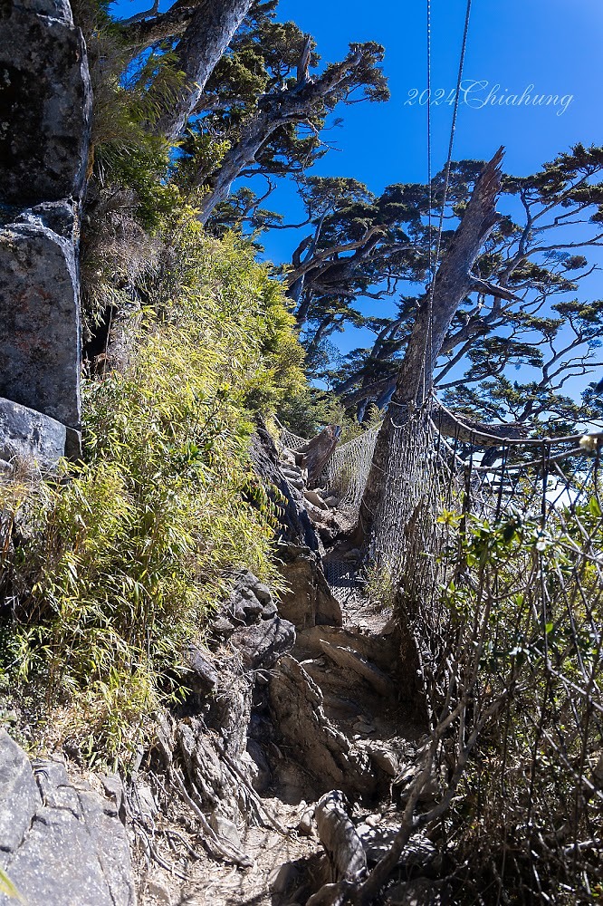 點我看大圖 雲海的故鄉 北大武山 (圖多)