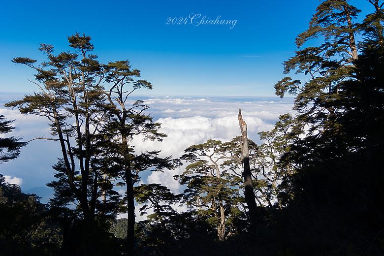 點我看大圖 雲海的故鄉 北大武山 (圖多)