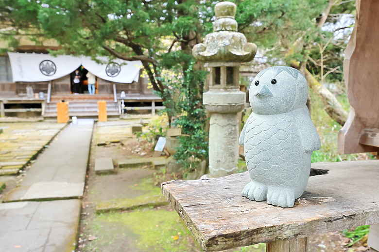 (映像旅行) 到伊豆半島賞河津櫻、看水豚君泡溫泉in日本熱海、伊東、河津 feat. Canon EOS R6 Mark II