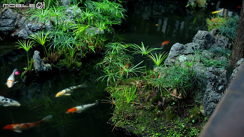 嶺南名園之首-順德大良清暉園