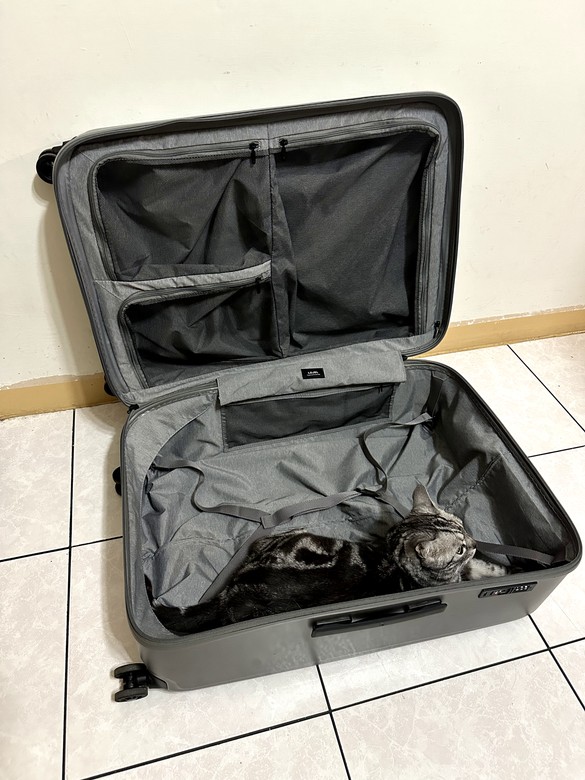 ✈️行李箱之亂‼️3款大容量旅行箱評測分享‼️