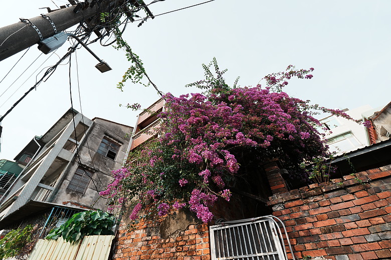 點我看大圖 Sony FE 16-25mm f/2.8 G 評測報告|G Lens 出頭天、畫質比肩 GM 鏡的超廣角誕生!