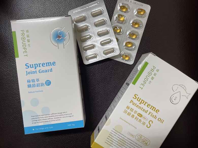 貓咪保健小教室-關節保養篇