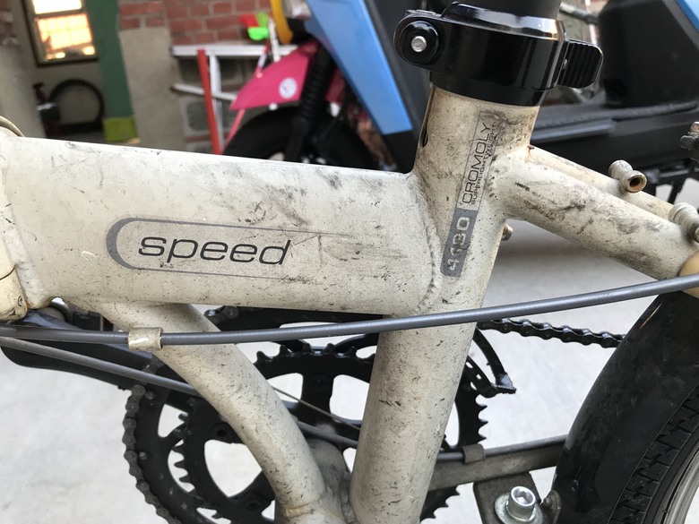 點我看大圖 Dahon 穢土轉身 車子都是該適當的保養與整理