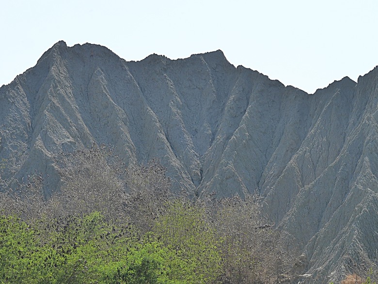 六龜神威天臺山花旗木花海、田寮月世界、美濃警察分駐所、美濃舊橋與溪畔花旗木，還有林家粄條總店美食 — 2024清明連假高雄郊區賞花旗木行旅