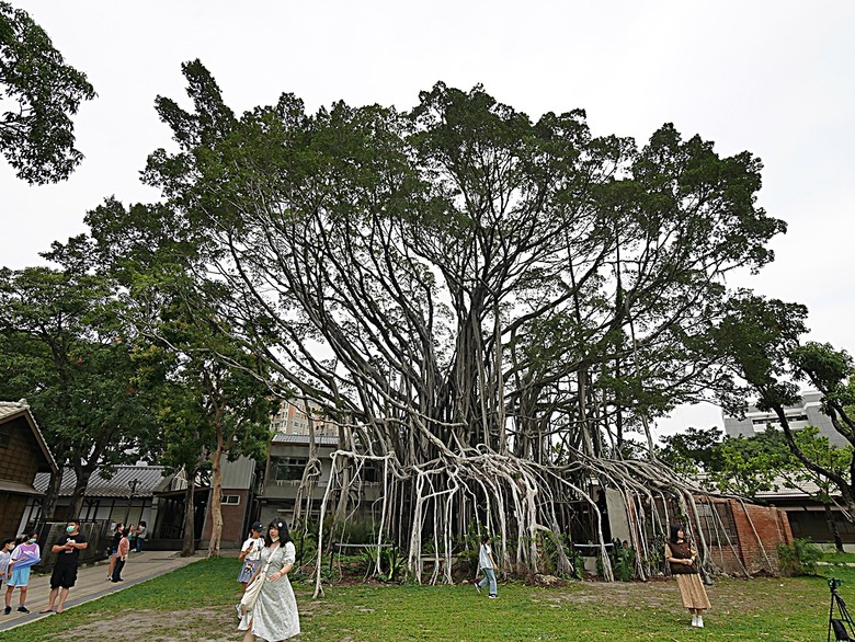 國家漫畫博物館籌備處【臺中刑務所演武場、典獄官舍、浴場、官舍群】 — 2024清明連假之臺中市區內一方綠意與懷舊日式宿舍散策