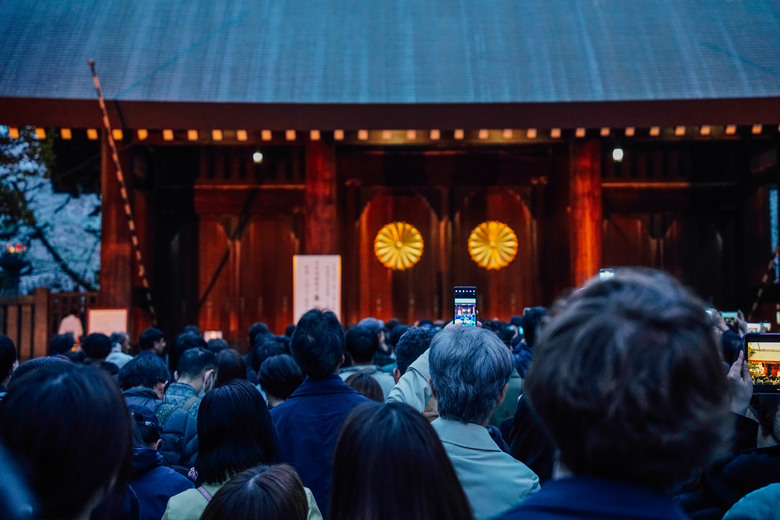 2024 東京四天三夜賞櫻快閃之旅