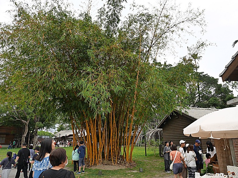 國家漫畫博物館籌備處【臺中刑務所演武場、典獄官舍、浴場、官舍群】 — 2024清明連假之臺中市區內一方綠意與懷舊日式宿舍散策