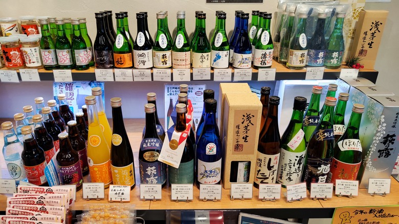 日本最大淡水湖 | 琵琶湖 | 租單車環湖趣