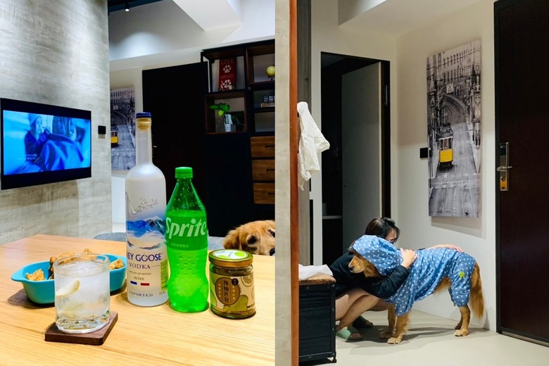 #分享 將三重預售屋注入新生命 萌寵與夫妻的小日子！