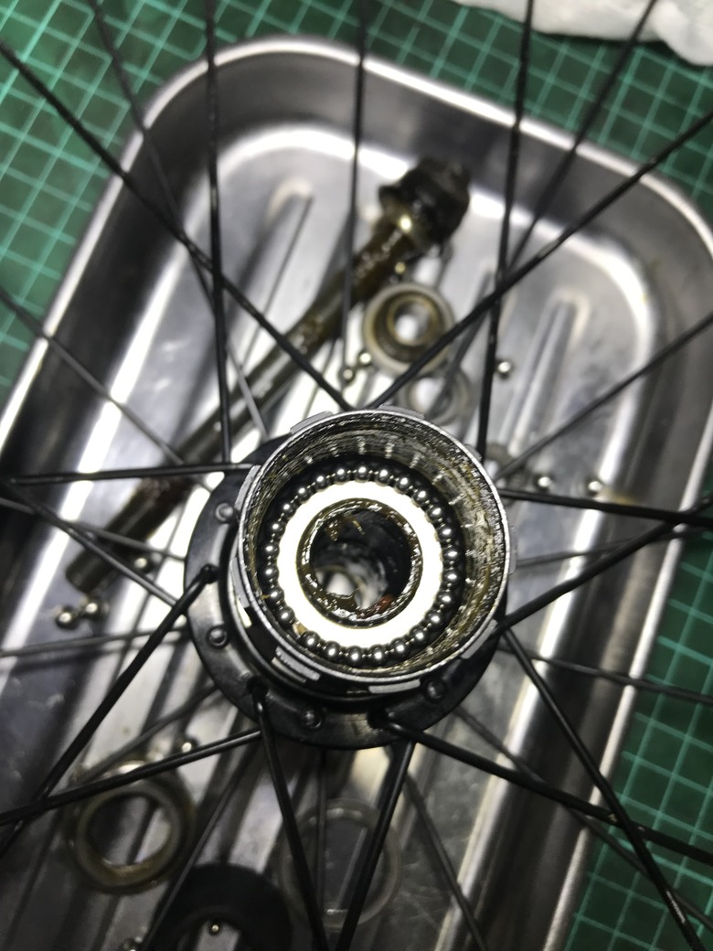 點我看大圖 Dahon 穢土轉身 車子都是該適當的保養與整理