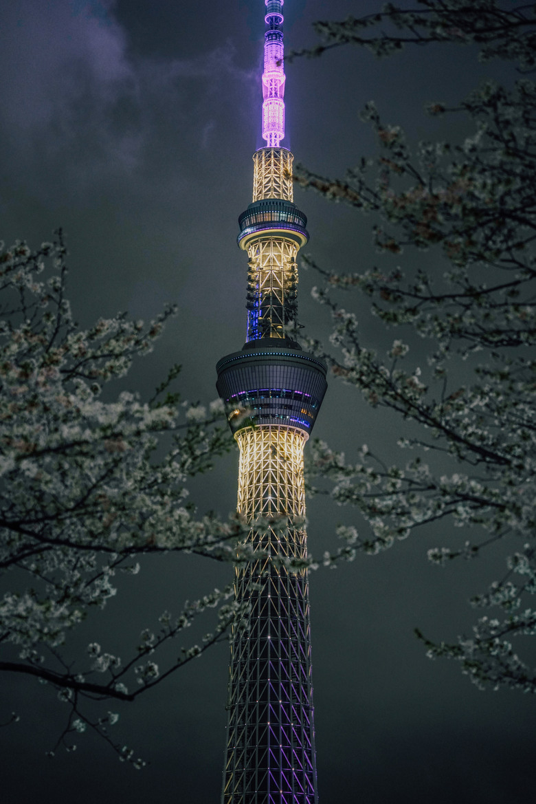 2024 東京四天三夜賞櫻快閃之旅