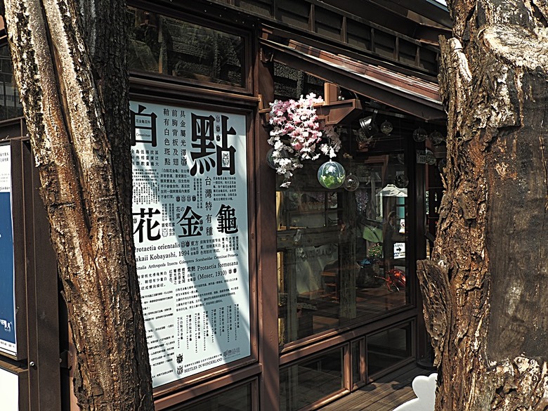 0km山物所、林業保育署保育小站【總督府山林課宿舍】|榕錦時光生活園區【原臺北刑務所官舍】 — 臺北城外日式宿舍建築逛到飽