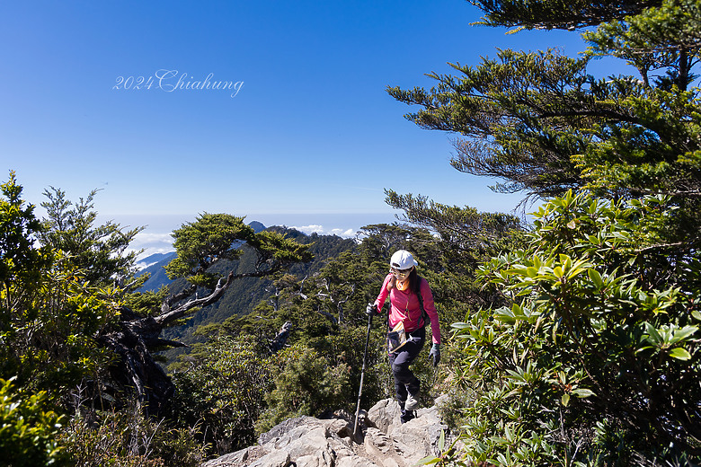 點我看大圖 雲海的故鄉 北大武山 (圖多)
