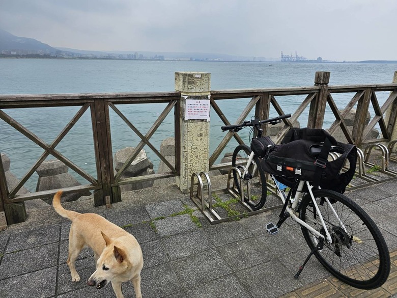 新手想問有載大型犬騎單車單日百公里左右的車友配置