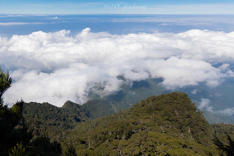 點我看大圖 雲海的故鄉 北大武山 (圖多)