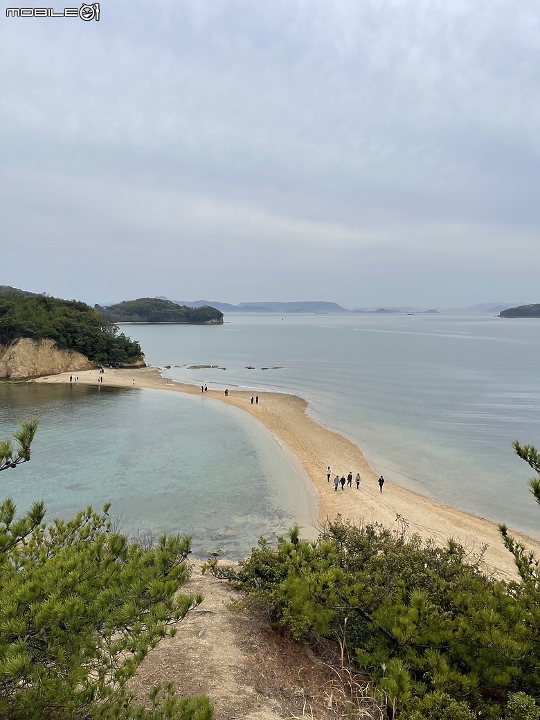 四國漫漫四人縵,八天世界八腳學(D3-D4)