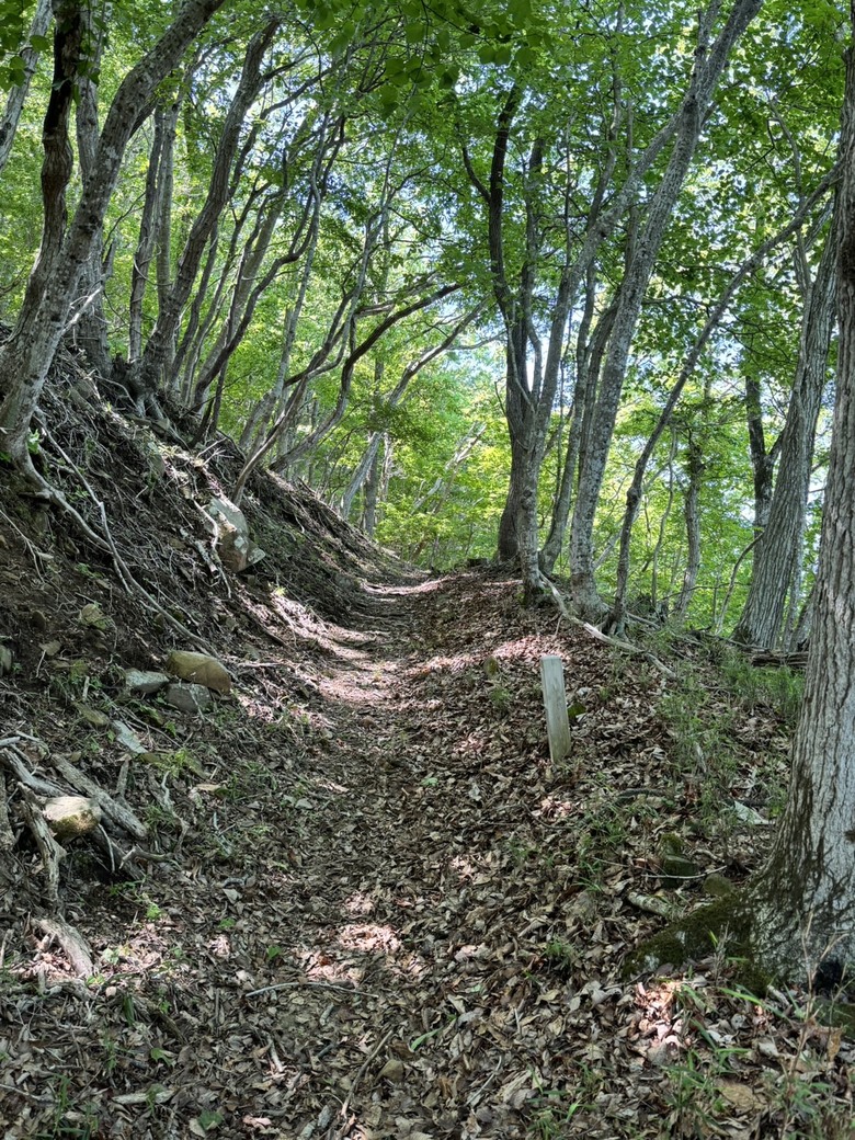 要走六天嗎?大六天山,一等!