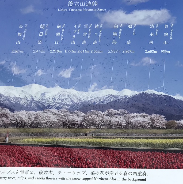 日本走馬看花/JR West pass/1人自由行10天9夜（Day8）